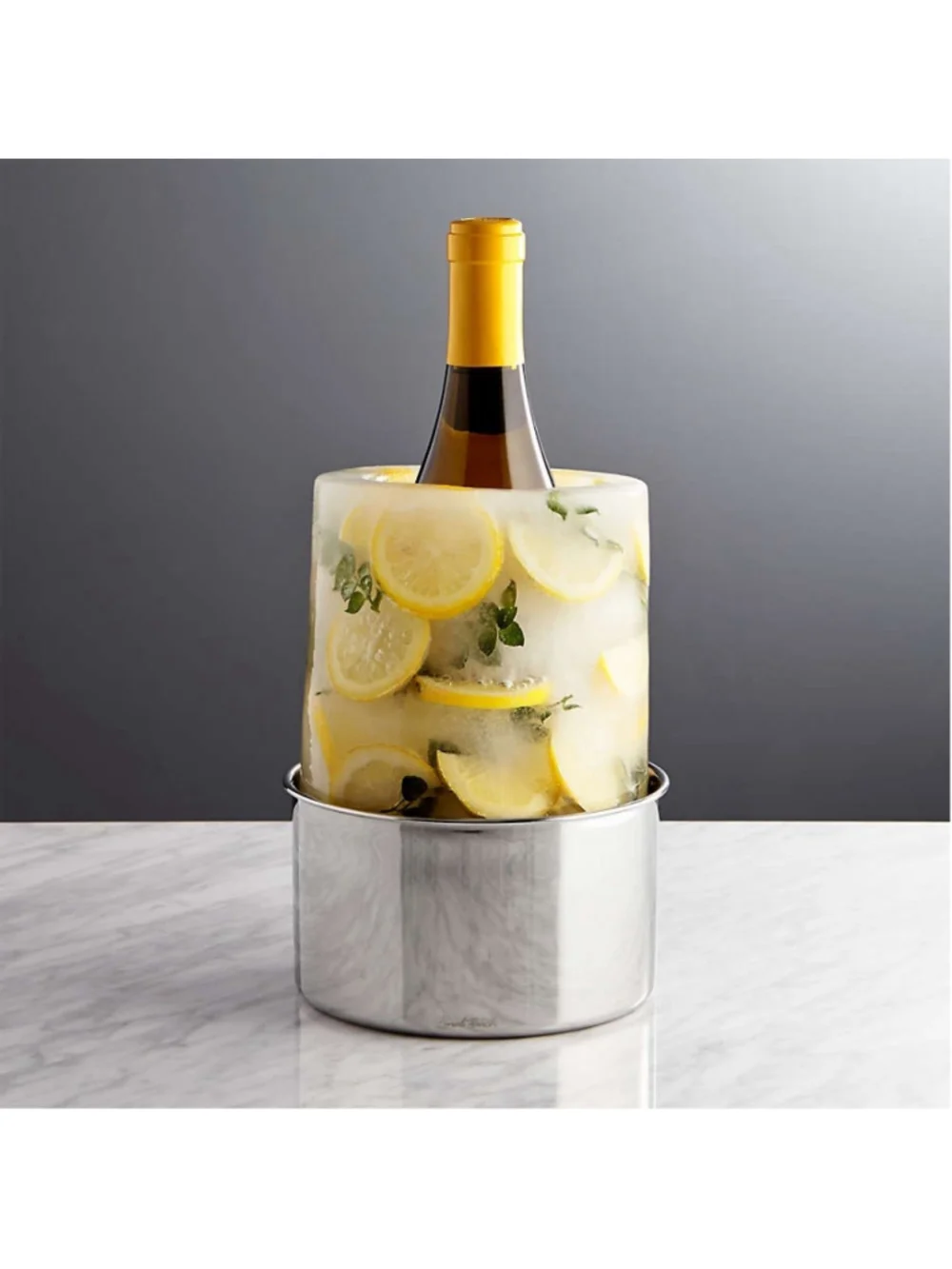 Crate & Barrel Ice Mold Wine Bottle Chiller DIY for Wine Champagne Liquor New